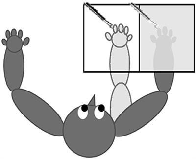 Altered Sense of Body Ownership and Agency in Posttraumatic Stress Disorder and Its Dissociative Subtype: A Rubber Hand Illusion Study